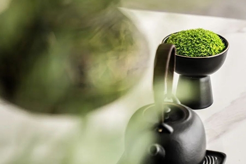 Thiết kế nội thất chung cư cao cấp, đẹp và sang trọng